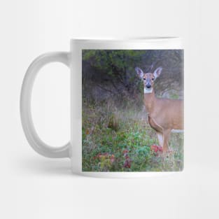 Doe Queen - White-tailed deer Mug